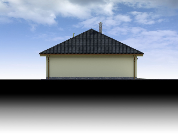 Array - perspektiva PL